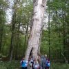 Wycieczka do Białowieży i Grabarki
