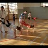 Zajęcia karate