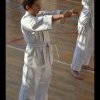 Zajęcia karate
