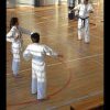 Zajęcia karate