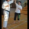 Zajęcia karate