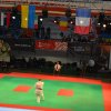 Mistrzostwa Europy w Karate