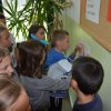 Międzynarodowy Dzień Kropki