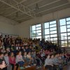 Pokazy muzyczne