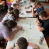 Dębowi Obrońcy Słońca – Dębowa na Słońcu