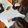 Dębowi Obrońcy Słońca – Dębowa na Słońcu