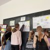 Dębowi Obrońcy Słońca – Dębowa na Słońcu