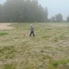 Święto pieczonego ziemniaka