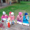 Święto pieczonego ziemniaka
